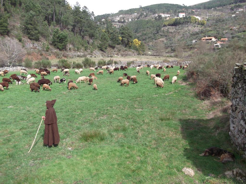 Casa Do Adro - Serra Da Estrela Cortes do Meio Екстериор снимка